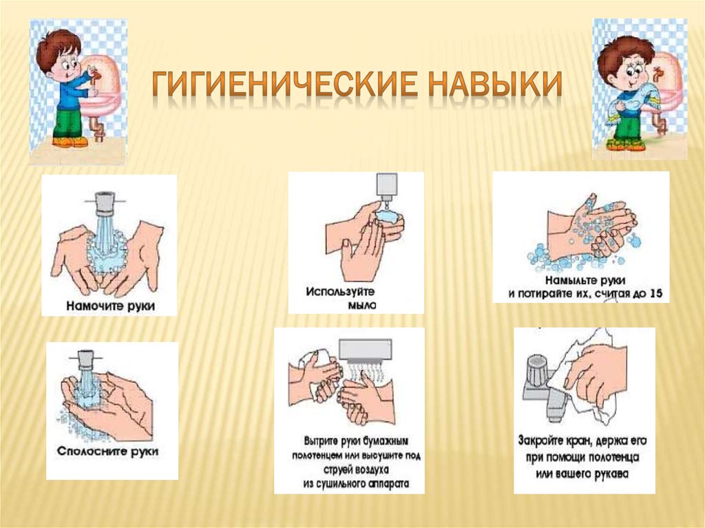 Санитарно-гигиенические навыки Санитарно-гигиенические навыки.